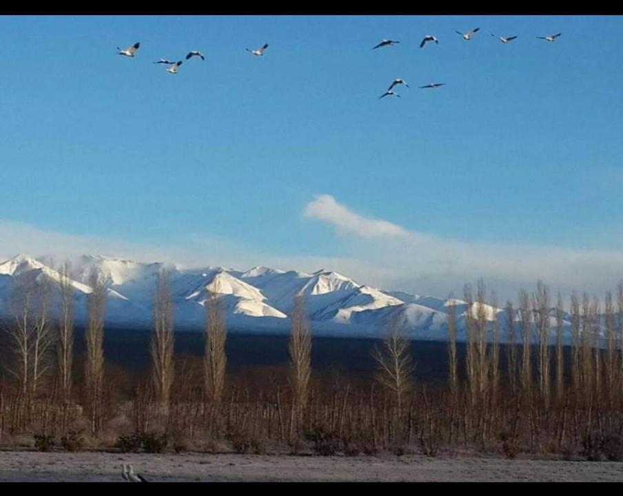 Rio Los Patos Barreal Exteriör bild